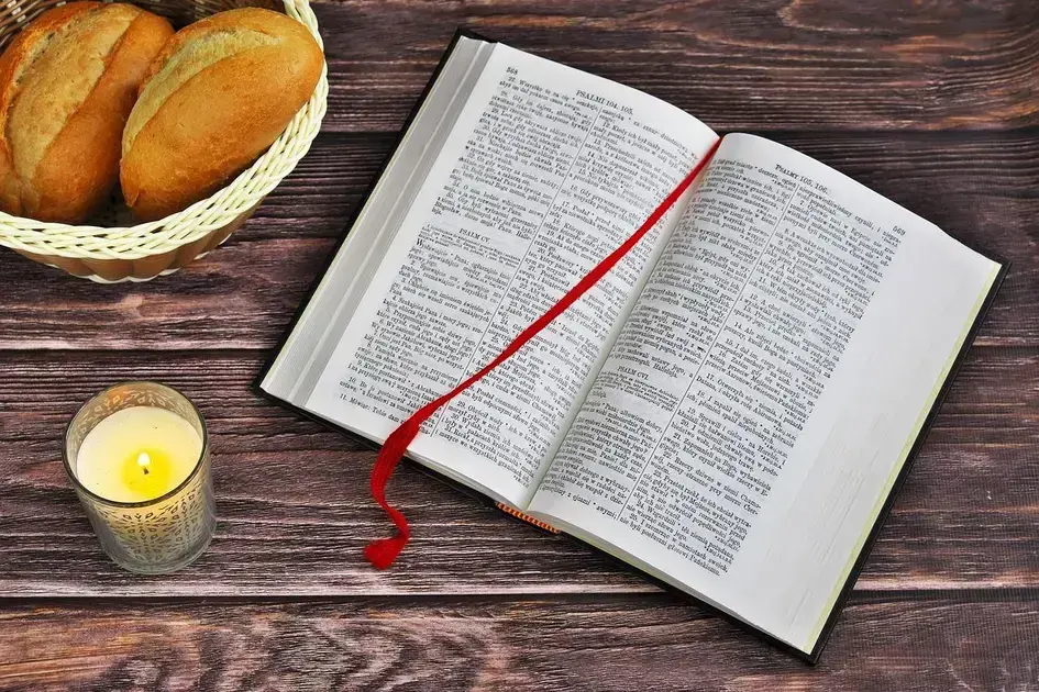 that the word of god will have free course