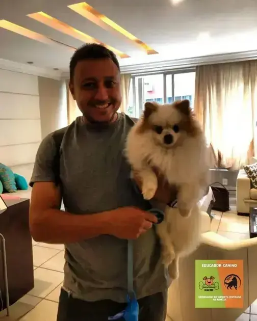 curso de adestrador de cães gratuito