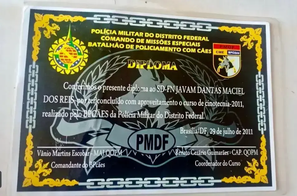 curso de adestramento de cães gratuito