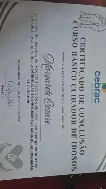 curso de gestão de transportes gratuito