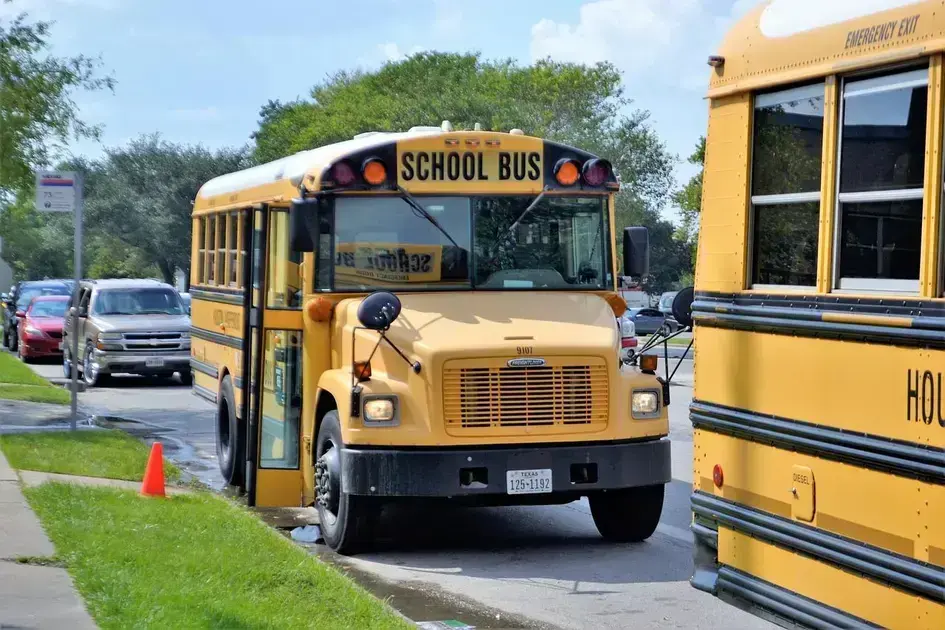 curso de monitor de transporte escolar gratuito