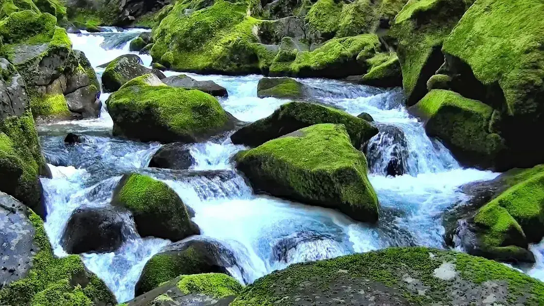curso de paisagismo gratuito