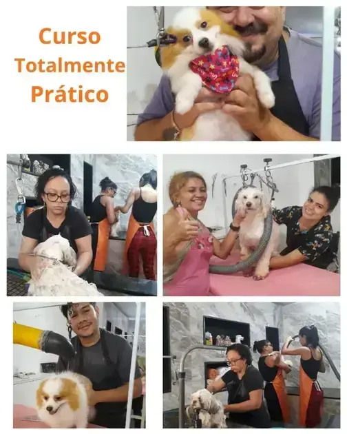 cursos de vigilante gratuito
