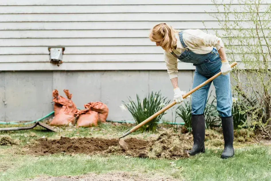 cursos gratuitos de jardinagem