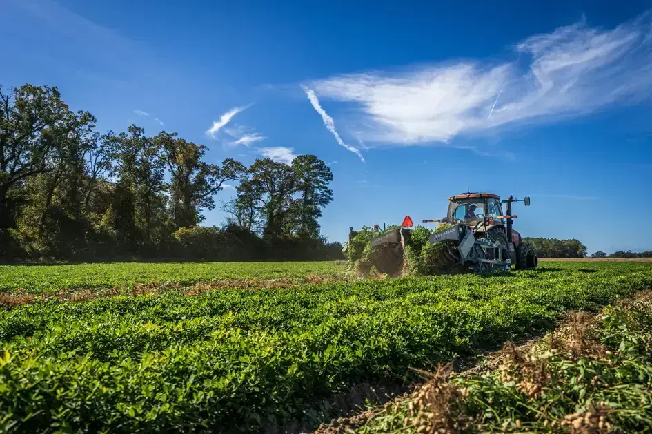 cursos gratuitos online de agronomia