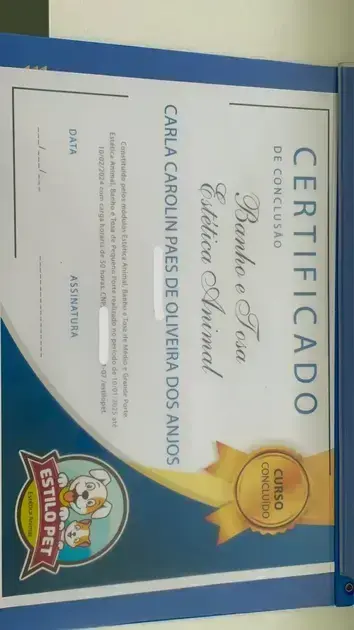 cursos online de inglês gratuitos com certificado