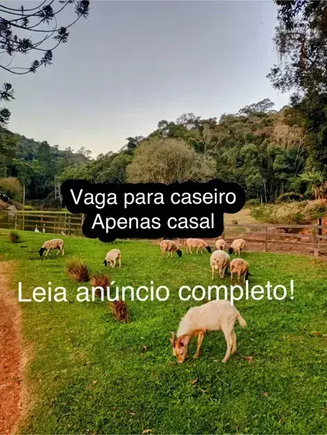 vagas de emprego em fazenda para casal