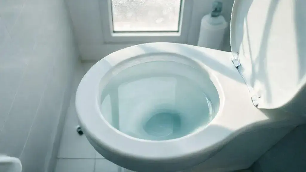 que significa soñar con popo en la taza del baño