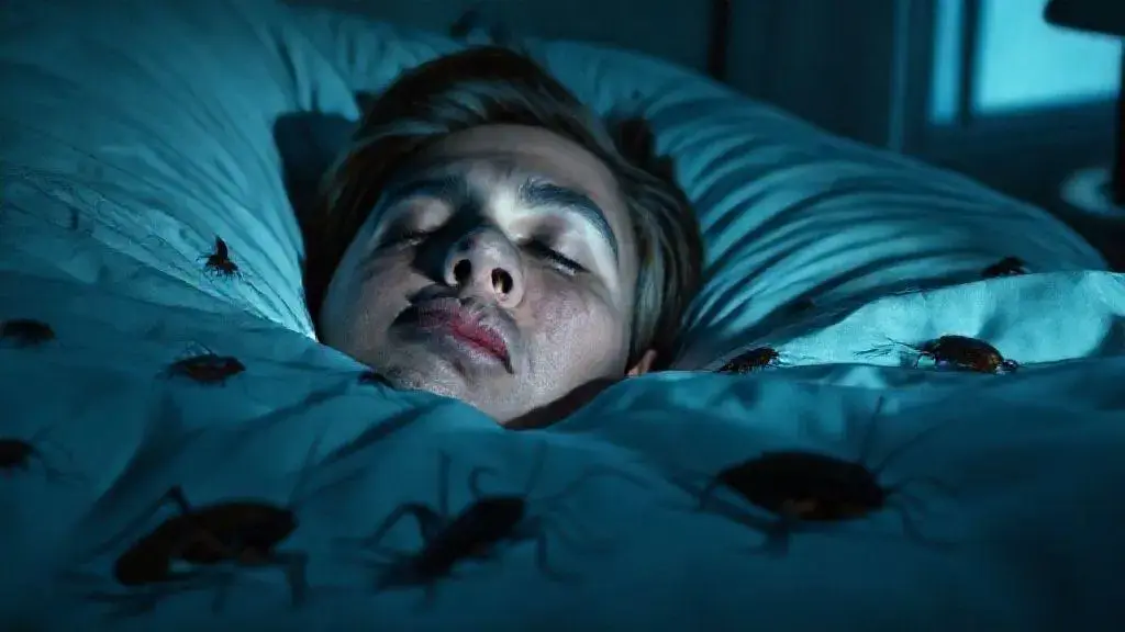 significado de soñar con cucarachas