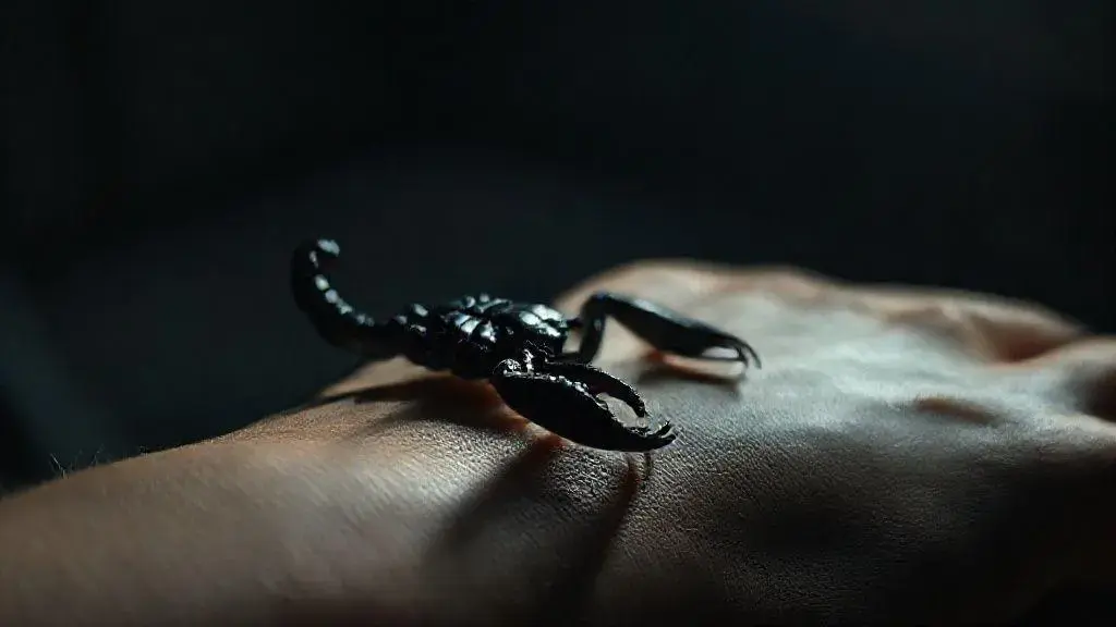 soñar con alacran negro